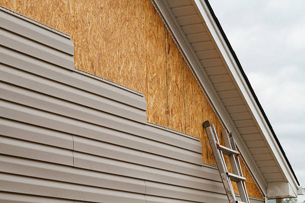 Professional Wood Siding technician working in Huntington, TX